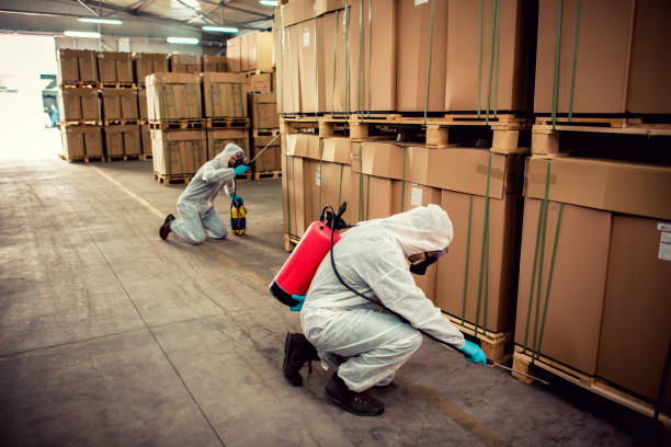 Best Residential Pest Control  in Midway, FL