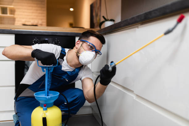 Best Local Pest Control Services  in Midway, FL