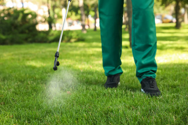 Best Mosquito Control Services  in Midway, FL