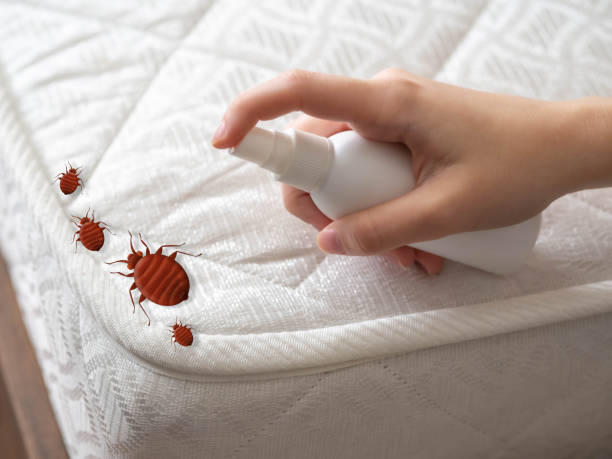 Best Affordable Pest Control Services  in Midway, FL