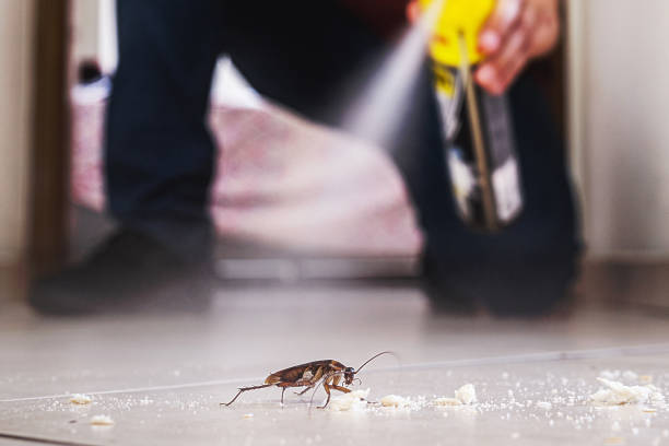 Pest Control for Restaurants in Midway, FL