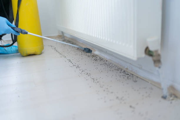 Best Bed Bug Extermination  in Midway, FL